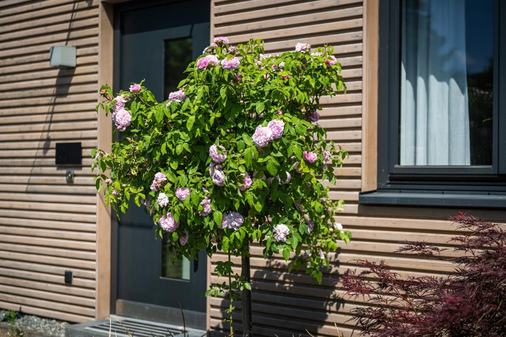 Villa Deine Genuss-Auszeit Asendorf Exterior foto